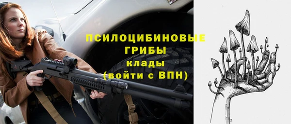 ПСИЛОЦИБИНОВЫЕ ГРИБЫ Армянск