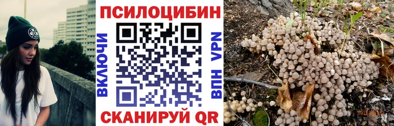 Псилоцибиновые грибы Magic Shrooms  Сусуман 