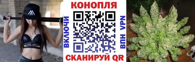 МАРИХУАНА конопля  Сусуман 